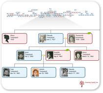 Տոհմի նկարներով ծագումնաբանական քարտեզ